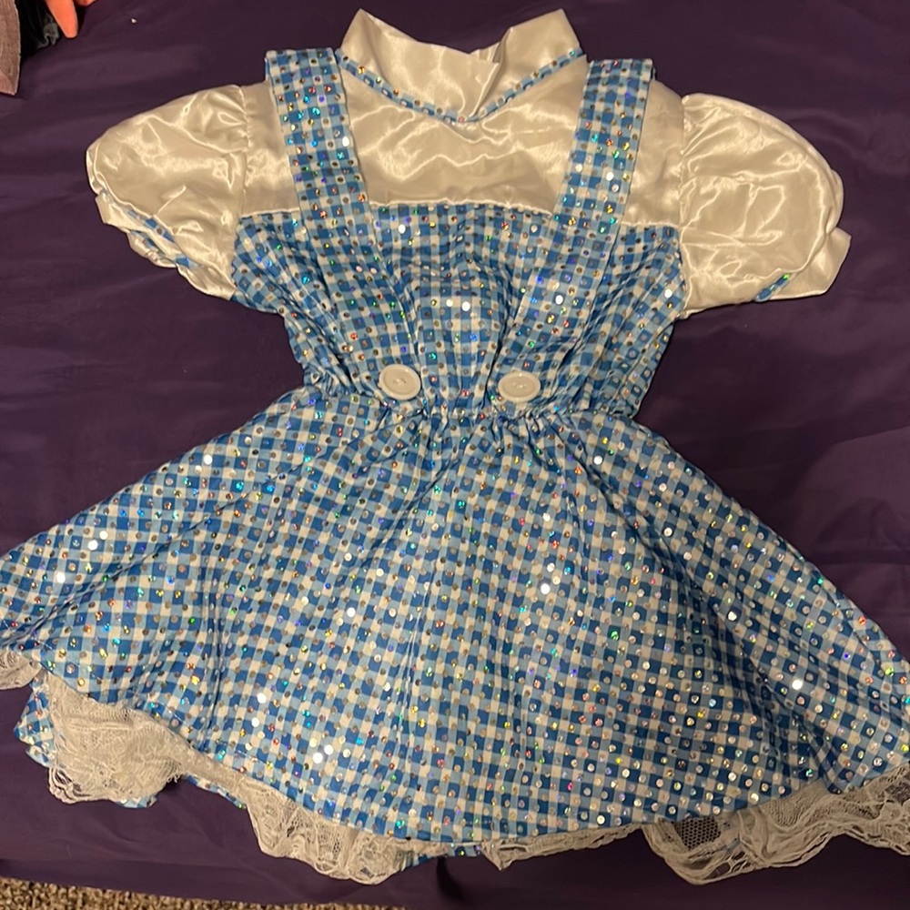 3-4T Dorothy costume